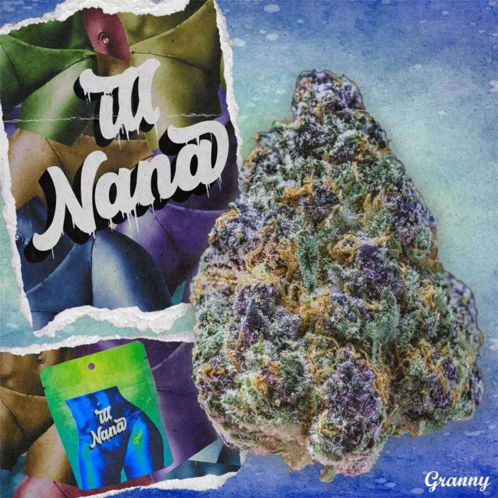 Ill Nana